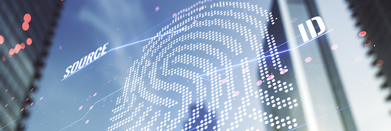 Imagen decorativa Imagen decorativa